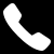 Phone Icon